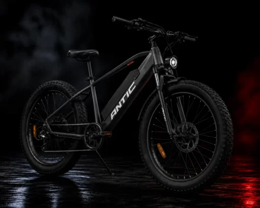 Antic Bike (Base)
